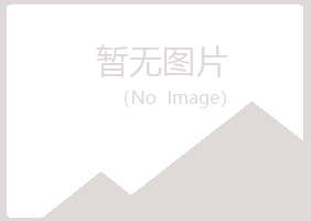 安图县匆匆能源有限公司